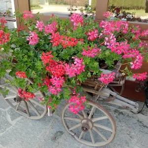 https://alloggio-del-contadino.it-lombardy.com