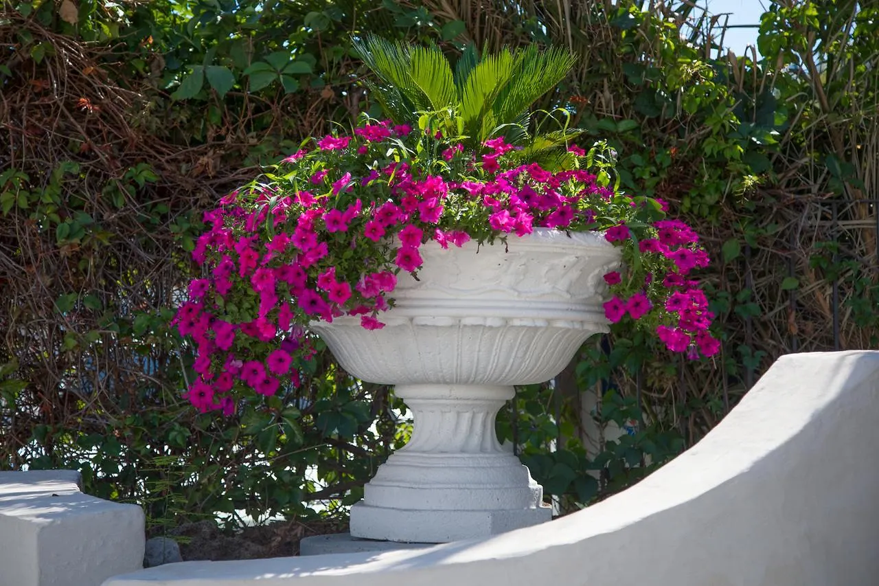 Assinos Palace Hotel Giardini Naxos